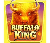 Buffalo King